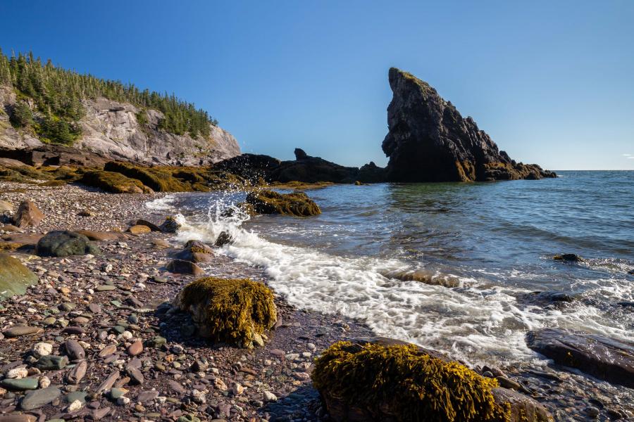 Top 12 Coastal Hikes In New Brunswick / #ExploreNB / Tourism New Brunswick